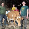 Q&A: Meet the Family Running the Last Dairy Farm in Strafford