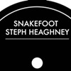 Top Vermont Singles of 2016: SnakeFoot & Steph Heaghney, "All Gifted"