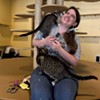 Q&A: Alexis Dexter Rescued 57 Shelter Cats During the July Flood