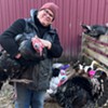 Stuck in Vermont: Neglected Animals Find a Home With Era MacDonald at Merrymac Farm Sanctuary in Charlotte