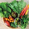 Pete's Greens to Offer Brooklyn CSA