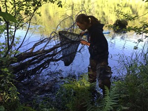 NPS PHOTO - Dragonfly Mercury Project Sampling