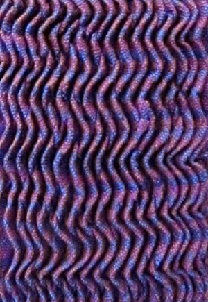 COURTESY OF SUSAN ROCKWELL - Detail of weaving by Susan Rockwell