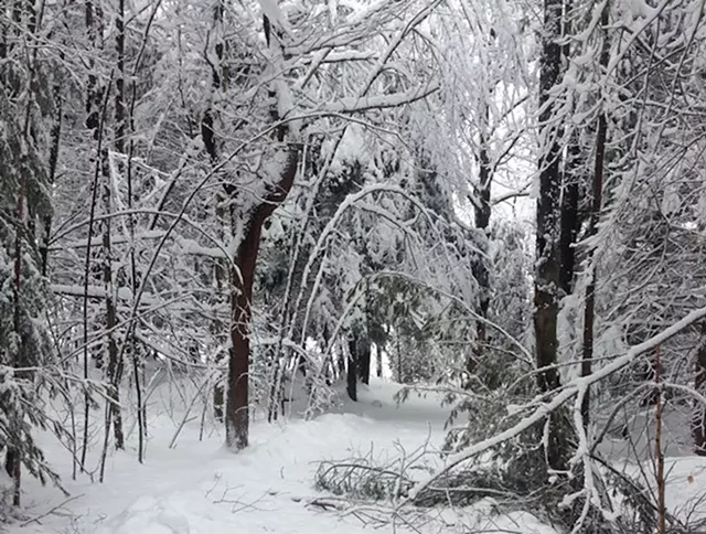 Vermont Eyes FEMA Assistance for Snowstorm Cleanup