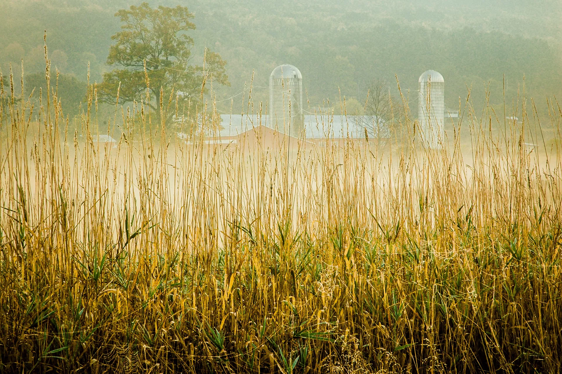 Photograph by Dick Conrad