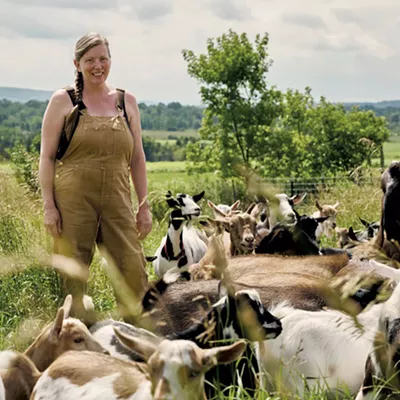 Image: Vermont Land Link Pairs Farmers With Landowners