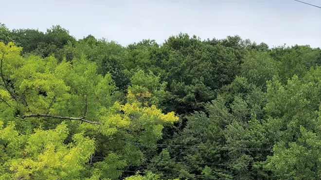 Image: Vermonting: A Day Trip to Arlington and Manchester