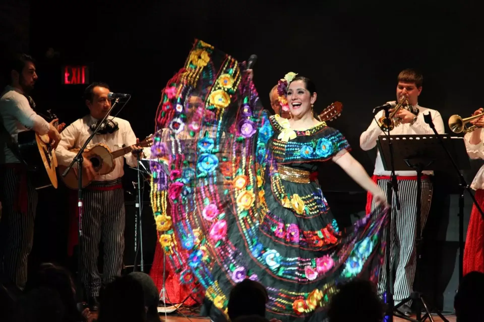 veronica_robles_en_concierto.webp