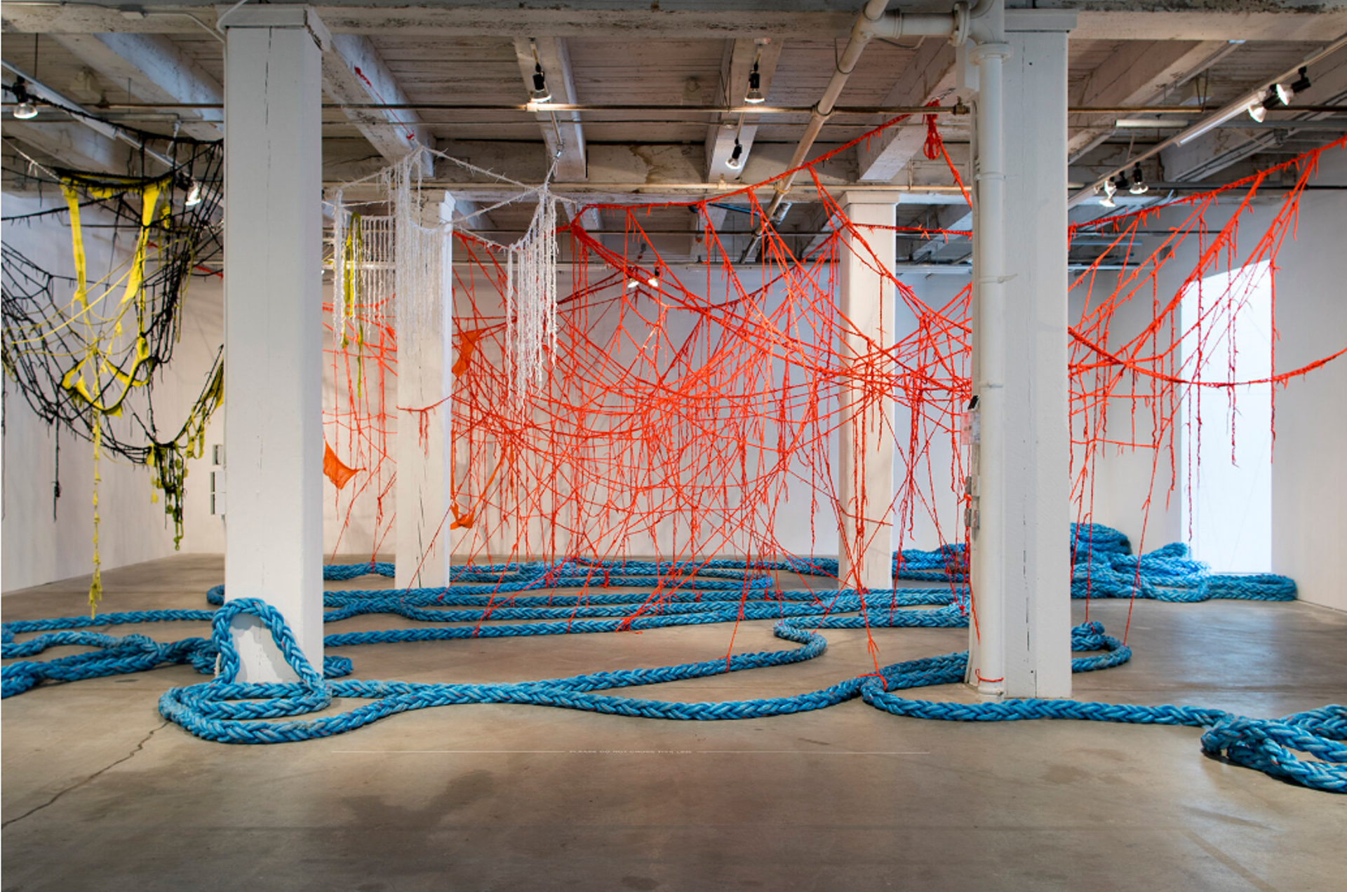 Installation by Shelia Pepe