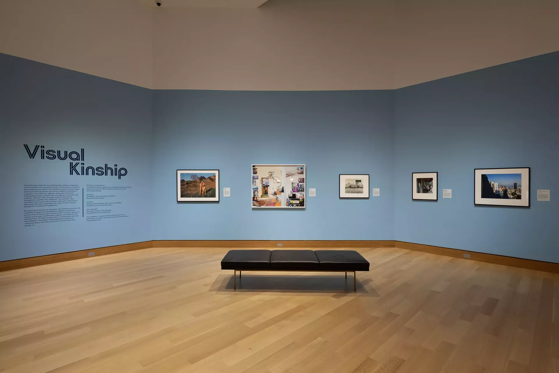 "Visual Kinship"