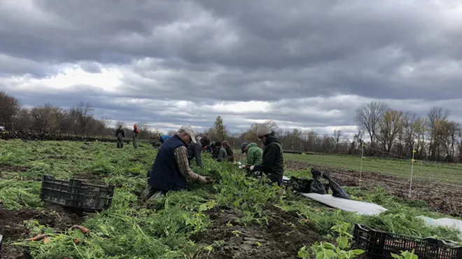 Image: Volunteers Aid Intervale Farms With Emergency Flood Harvests