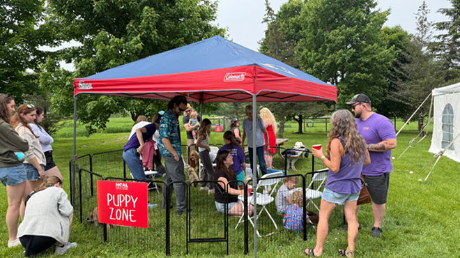 Image: Walk for Animals