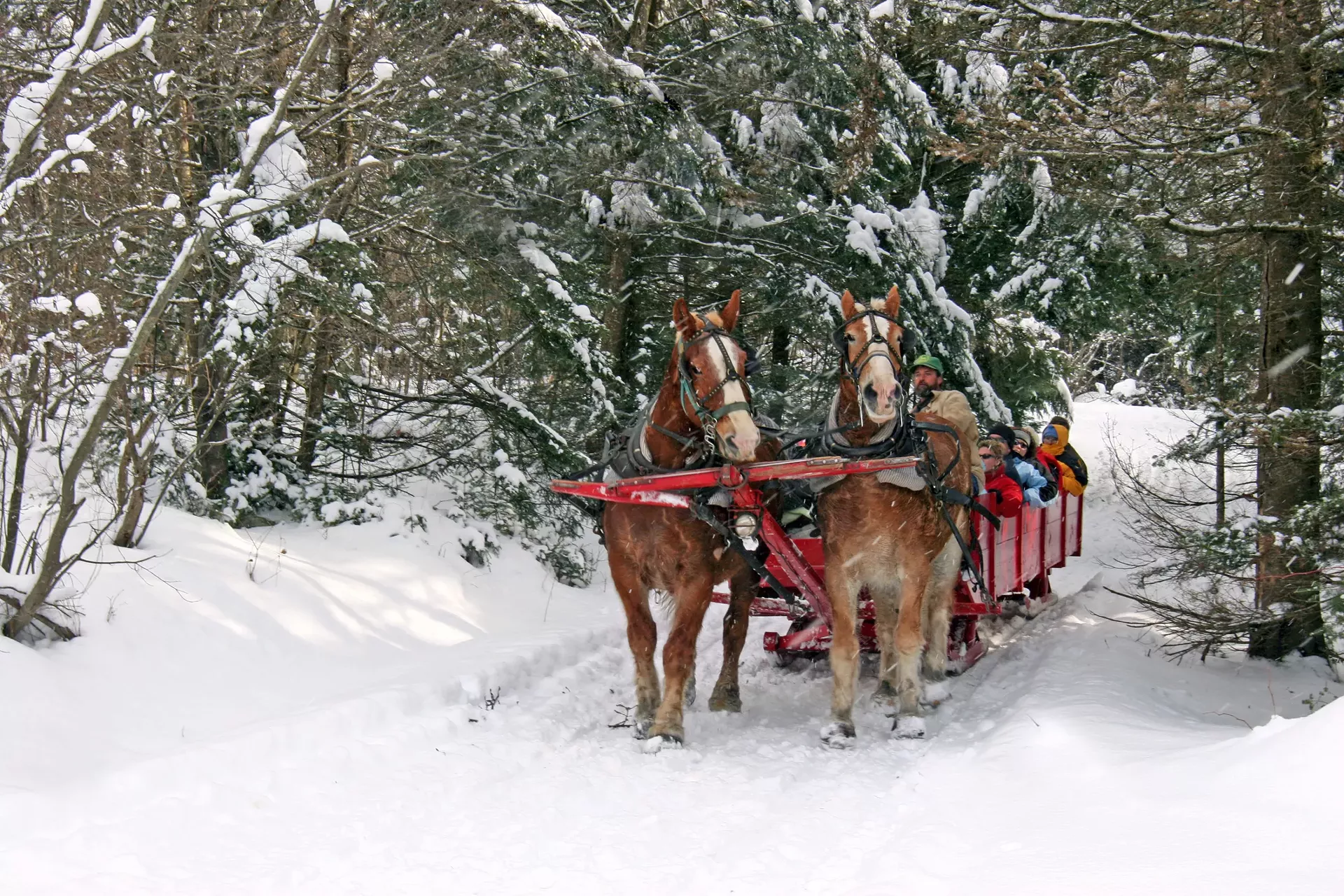 wassail_weekend_steve_callahan_dreamstime-calendar-spot.webp