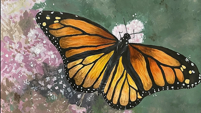 Image: 'Winged Wonders'