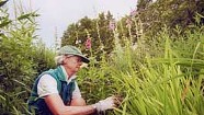 Work: Birgit Deeds, Shelburne Farms gardener