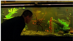 Movies You Missed & More: Oldboy (2013)