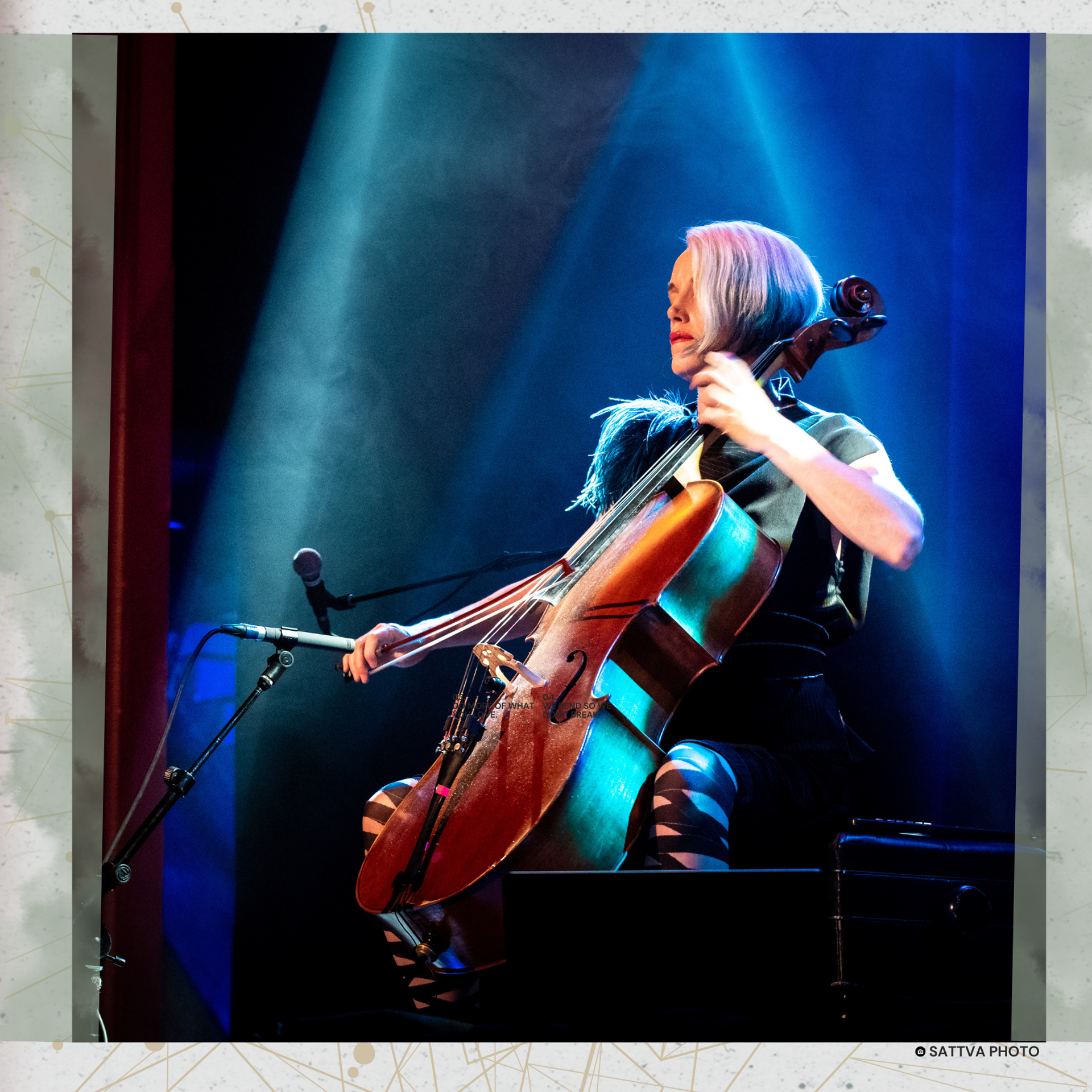 zoe_concert_photo__1_.png